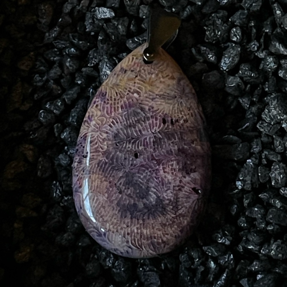 Agatized Coral Pendant Natural Stone 2” x 1” Unique Shape. Great Gift.